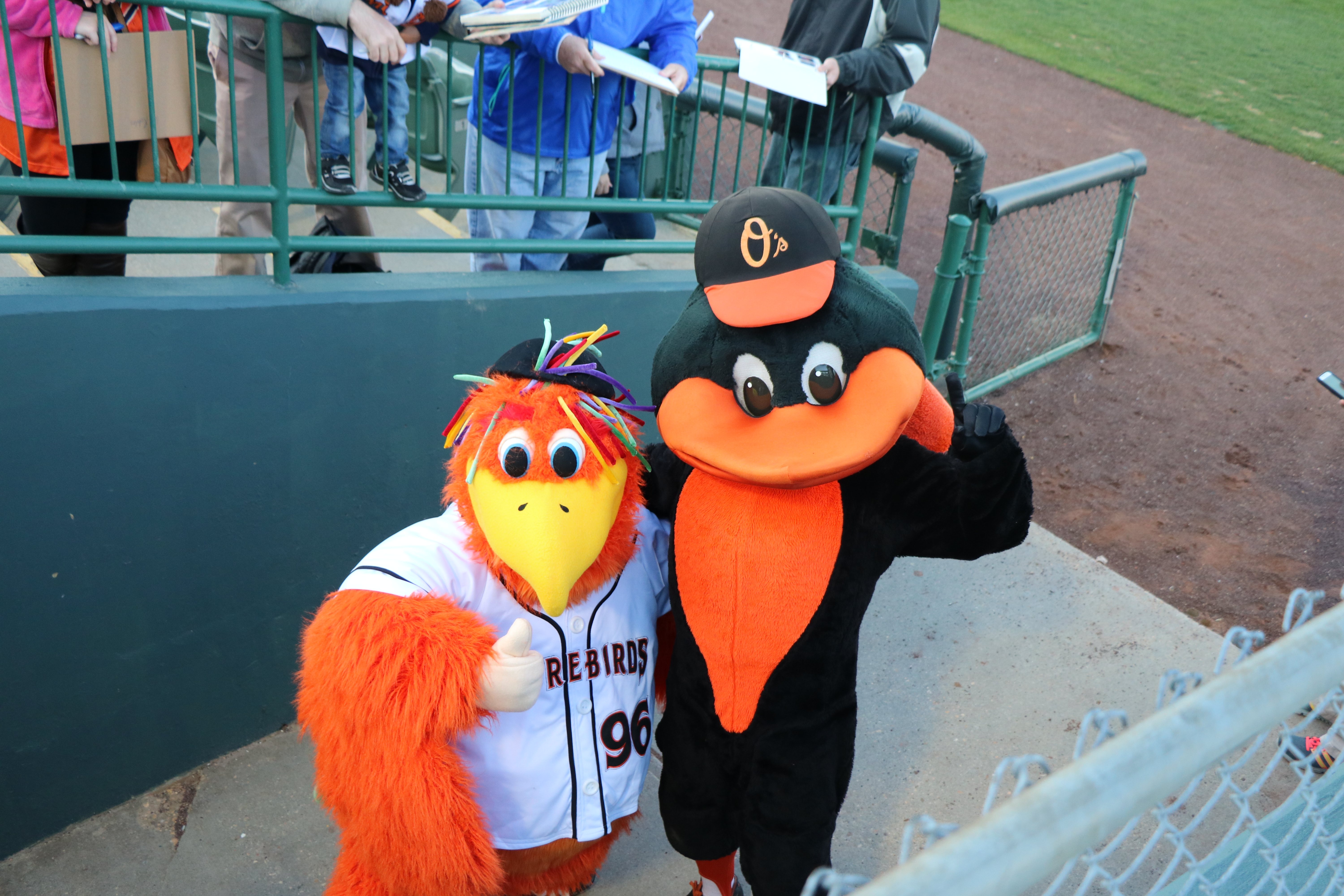 Delmarva Shorebirds Opening Night 2016
