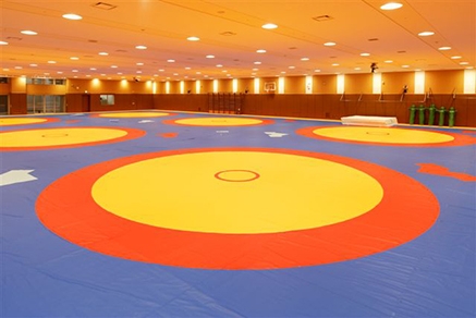 Henlopen Conference Unveils 2016-2017 Wrestling First and Second Team Selections