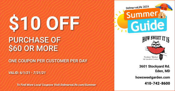 SG 21 - Coupon How Sweet It Is-600x314-px SG 21 - Coupon How Sweet It Is-600x314-px