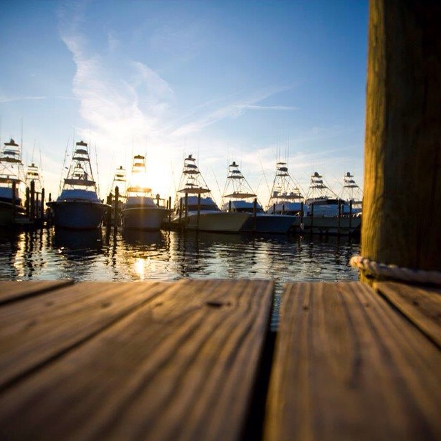 Courtesy: Sunset Marina
