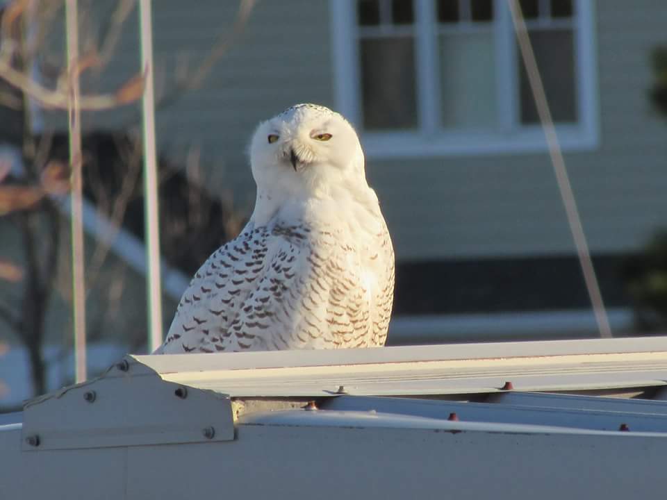 Photo Courtesy: Rhonda Tuel