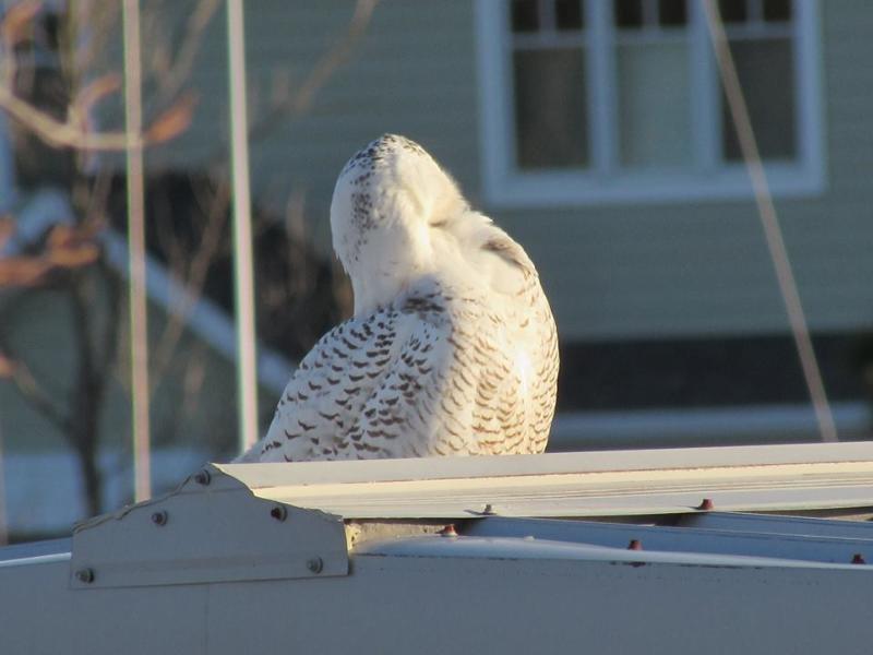 Photo Courtesy: Rhonda Tuel