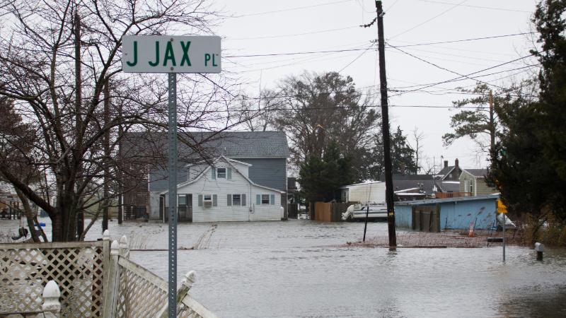 J Jax Pl