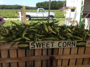 (Photo Credit: Magee Farms)