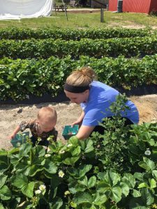 (Photo Credit: Magee Farms)