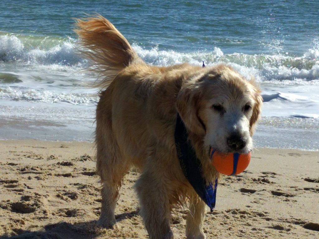 Max