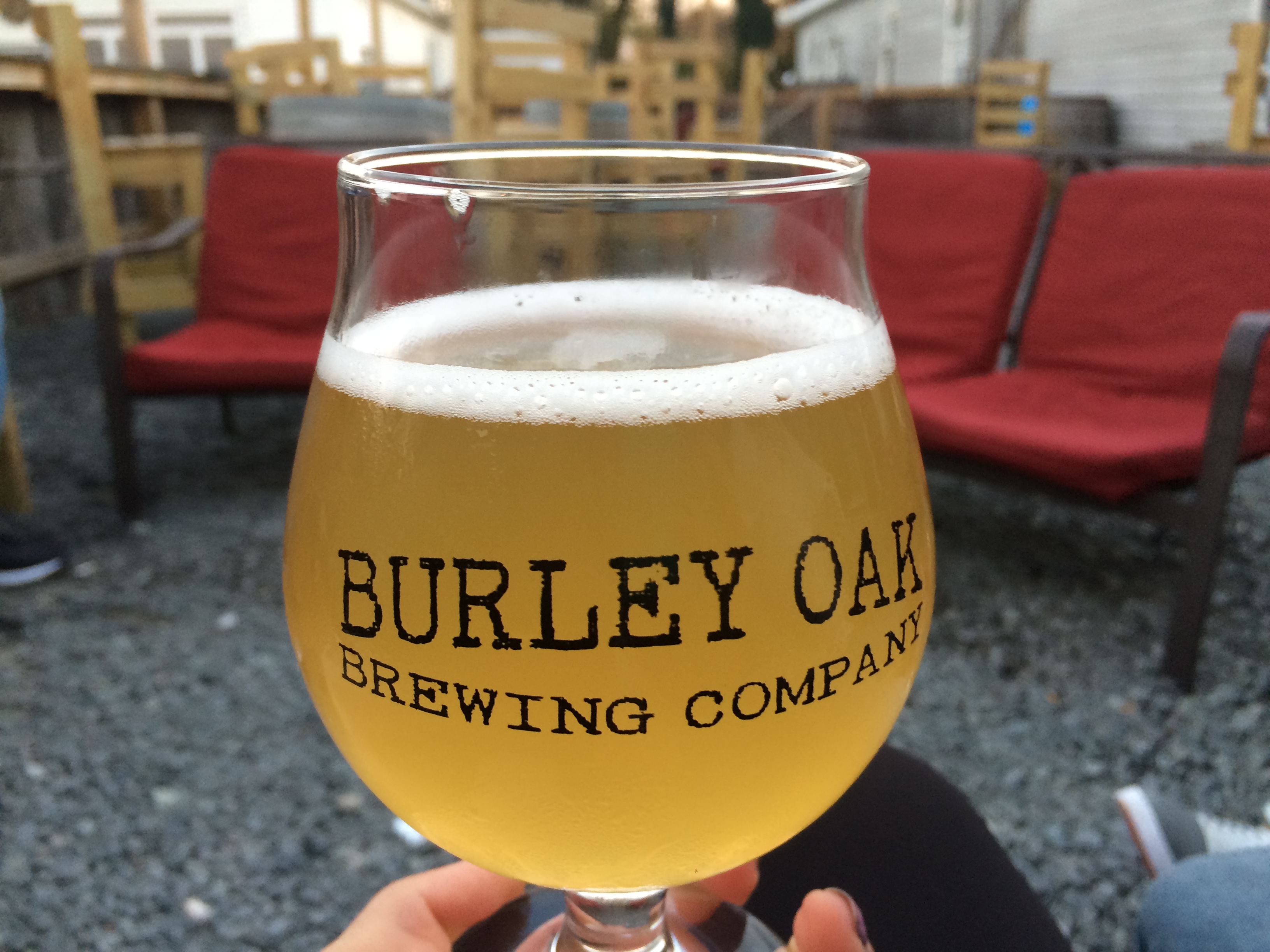 Berlin’s Burley Oak Brewery Participates in Giving Tuesday, ‘Shore Gives More’