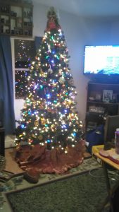 The Beebe family's Christmas tree. Photo by Kirsten Beebe.