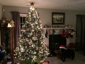 Eden Christmas tree, by Joe Burris in Eden, Maryland.