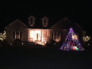Christmas light tree, by Joan Tyndall of Milton, Delaware.