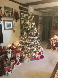 Daniel and Pamela Parks sent us this photo of their living room in Princess Anne, Maryland.