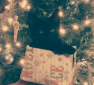 Olive the Christmas Cat. Photo by Erin Lee Pruitt of Smith Island, Maryland.