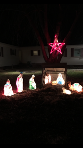 By Steve and Michelle Wheatley of Fruitland, Maryland.