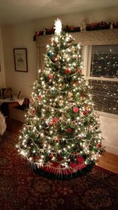 Lucy's Christmas tree in Cambridge, Maryland.
