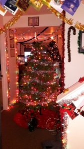 Trotman Family Christmas trees, in Milford, Delaware.