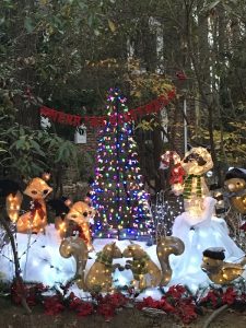 Photo submitted by Tracey Hofman of Ocean Pines, Maryland.