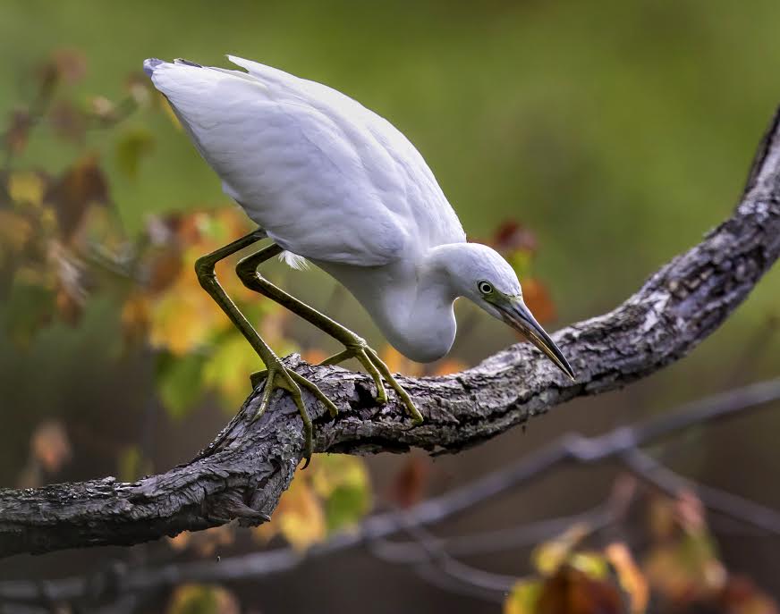 2018 Maryland DNR Photo Contest Winners Selected from 4,300 Entries 2018 Maryland DNR Photo Contest Winners Selected from 4,300 Entries