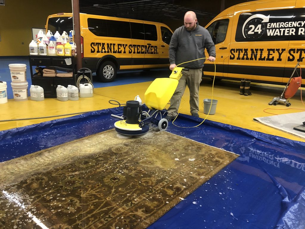 Paid Content By Stanley Steemer Cleaning Area Rugs DelmarvaLife