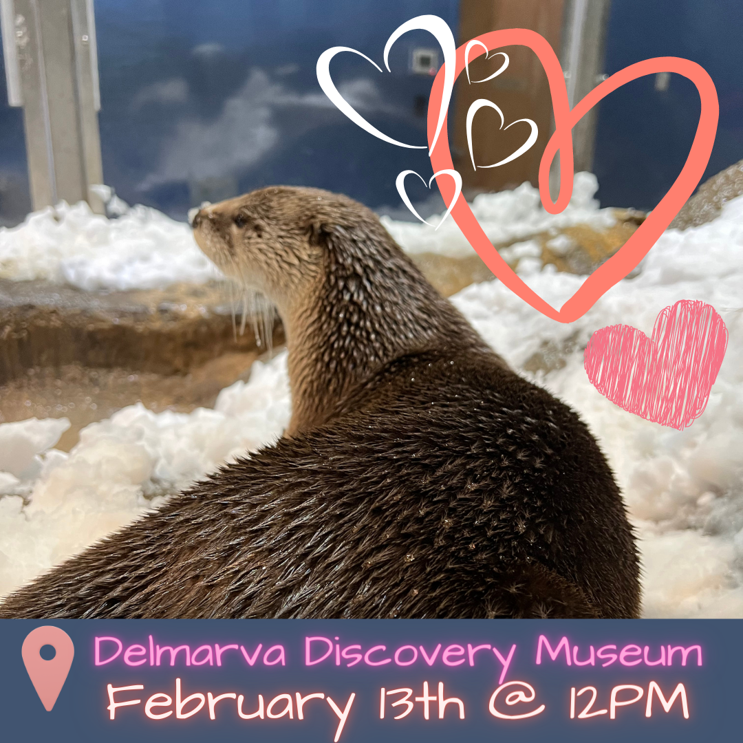 Events for October 15 – October 15