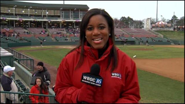 Shorebirds Back in Town!