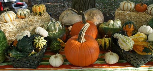 (Photo: Riverwalk Farmers Market)