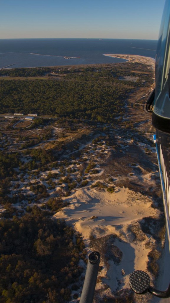 Cape Henlopen State Park