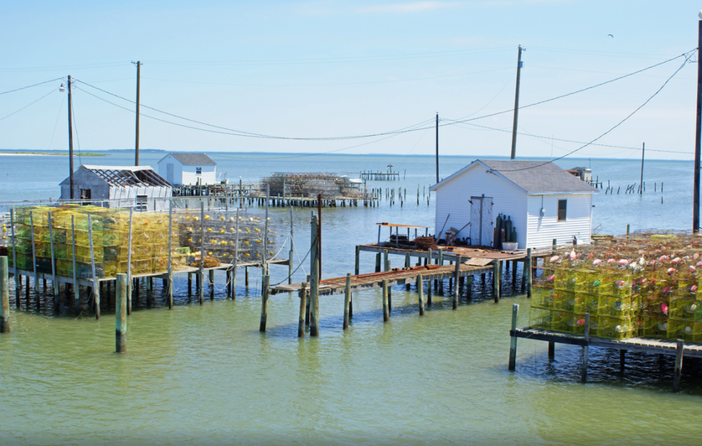 Lancer RehobothBeach (Tripadvisor)